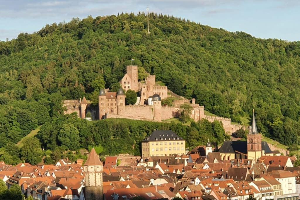Ferienwohnung 'Burgblick' ヴェルトハイム エクステリア 写真
